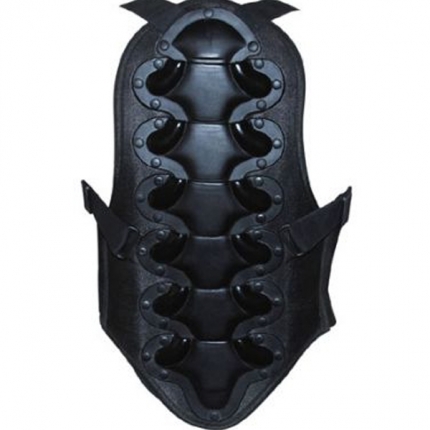 Back Protector